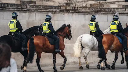 A picture of a British mounted police A picture of a British mounted police